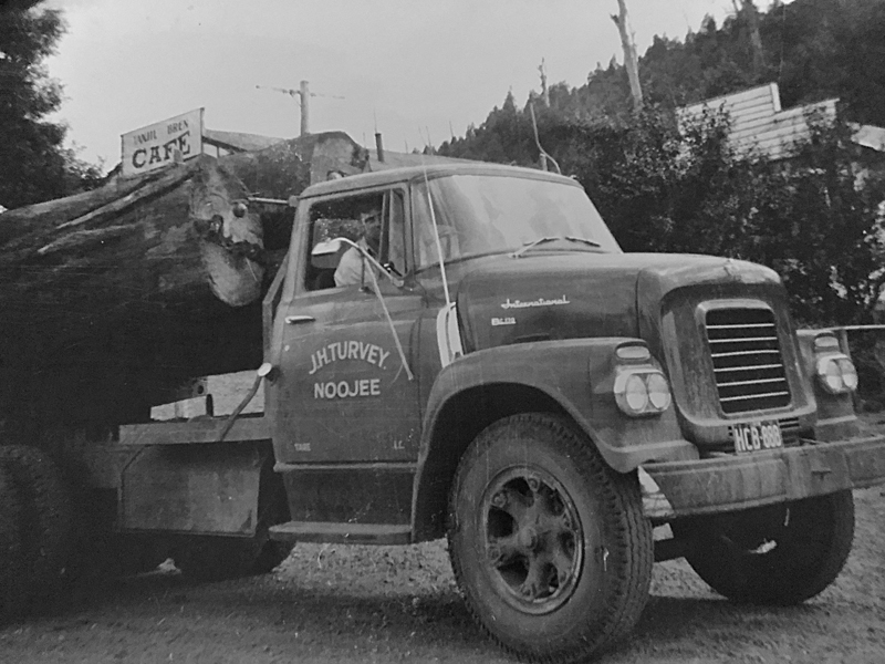 A J.H. Turvey Noojee log truck carrying a huge mountain ash log through town