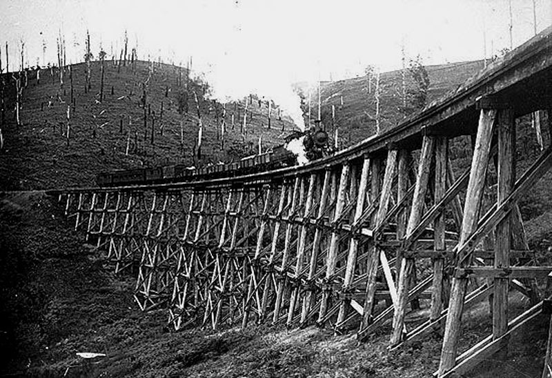 A steam train crossing the tall curved timber trestle bridge between cleared hillsides