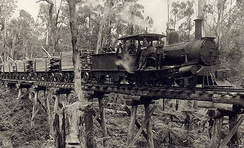 A locomotive hauling loaded timber wagons across a low tramway trestle in the bush