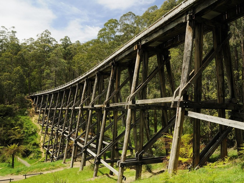 The restored Noojee Trestle Bridge from ground level